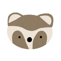 SunbeamIllustration animal wink teddy racoon Sticker