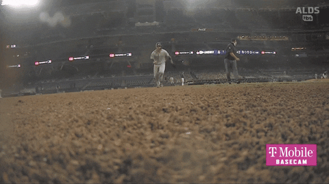 Gleyber Torres Slide GIF by Jomboy Media