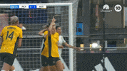 Hayley Raso Celebration GIF by Football Australia