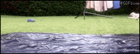 like a boss win GIF