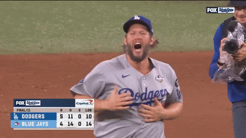 Celebrate World Series GIF by MLB