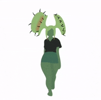 Fly Trap Walking GIF