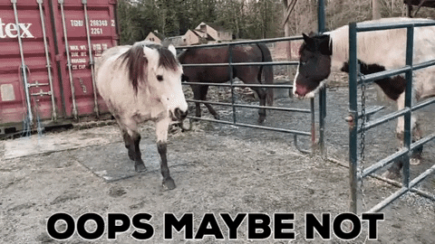 JiniP giphygifmaker no way oops go away GIF