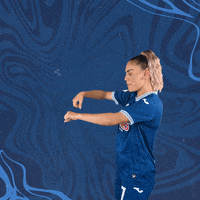 Football Soccer GIF by TSG Hoffenheim