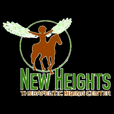 NewHeightsTherapy giphygifmaker horse horses new heights GIF
