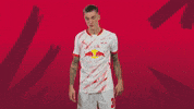 Sport Celebration GIF by RB Leipzig