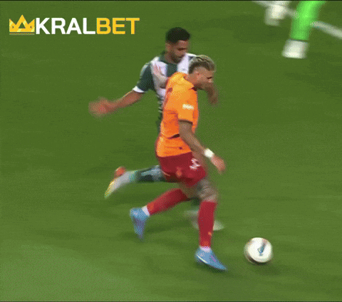 GIF by kralbet