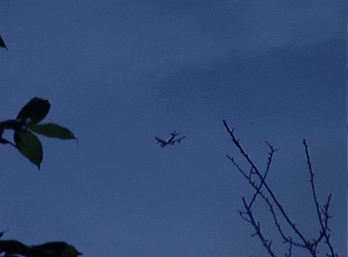 GIF by Jaime Martinez