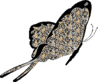 page facebook STICKER