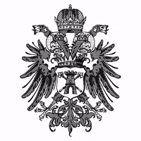 MarcoFelluga russizsuperiore GIF