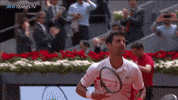 sport winning GIF by Tennis TV