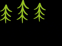 Donnedimontagna donnedimontagna donne di montagna all good in the woods GIF