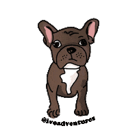 puppy friend Sticker by Ivo Adventures