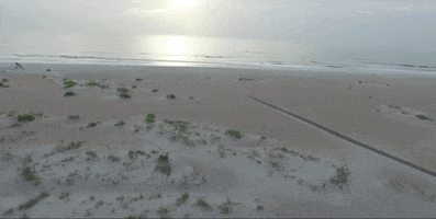 st augustine florida GIF