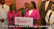 Michigan GIF by GIPHY News