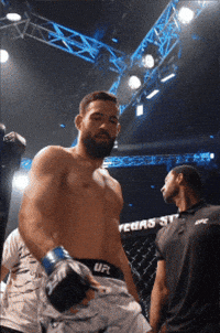 Fight Ufc GIF by promaslist