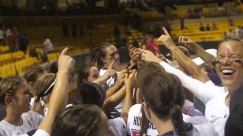 usssapride giphyupload softball fastpitch usssa GIF