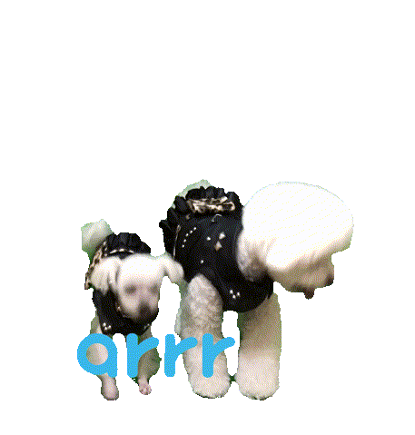 아르르 Sticker by arrr_official