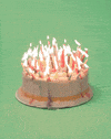 Happy Birthday Fire GIF by Birthday Bot