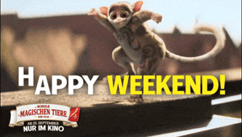 Kinofilm GIF by Die Schule der magischen Tiere - Der Film