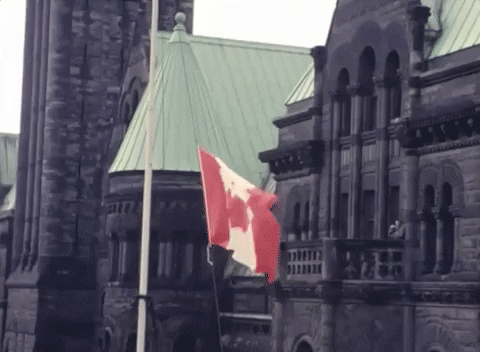 canada flag GIF by Archives of Ontario | Archives publiques de l'Ontario