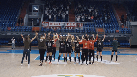 MKSLublin giphyupload sport handball lublin GIF
