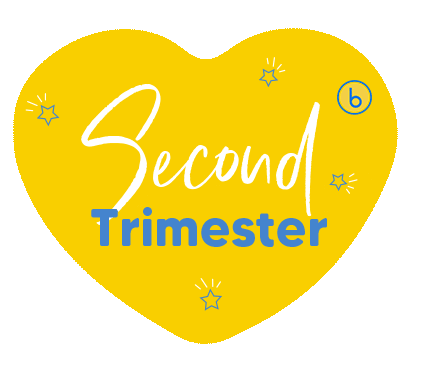 Bubzi giphyupload baby pregnant pregnancy Sticker