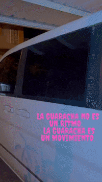 Tito El Bambino Guaracha GIF by mario salseo