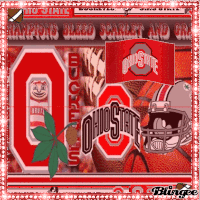 ohio GIF