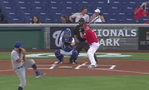 Congressional Baseball Game Congress GIF by GIPHY News