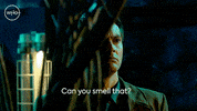 David Tennant Cooking GIF by Doctor Who