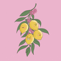 bobbirae happy smile cartoon summer GIF
