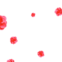 Igy Sticker by igy_centrum