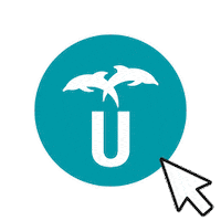 University Dolphins Sticker by UGMEX