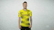 borussia dortmund yes GIF by Bundesliga