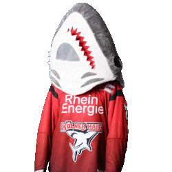 Hockey Nhl Sticker by Koelner Haie