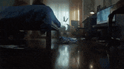 GIF by LoudMouth Film