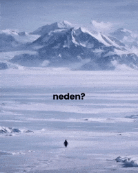 Penguin Freedom GIF