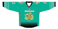 Playoffs Jerseys Sticker by Elite Ice Hockey League