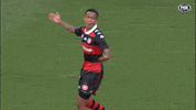 Western Sydney Wanderers GIF by wswanderersfc