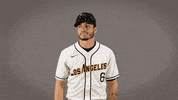Cal State La Baseball GIF by Cal State LA Golden Eagles