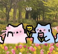 Cat Nub GIF