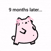 Cat Nub GIF