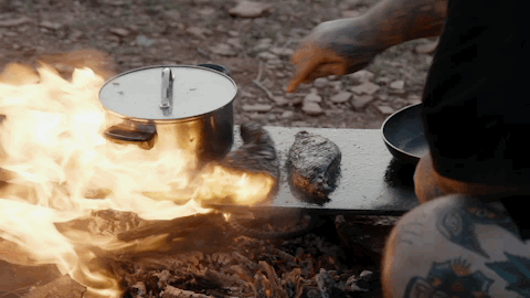 viceland GIF by Dead Set on Life