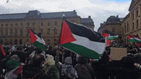 Pro-Palestine Supporters March in Northern France