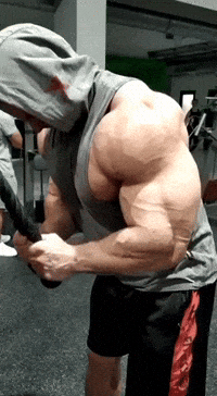 allstars pump bodybuilding bodybuilder trizeps GIF