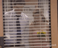 Season 5 Nbc GIF by The Office
