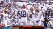 National Football League GIF by NFL
