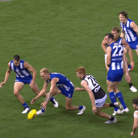 North Melbourne Spin GIF by NMFCOfficial
