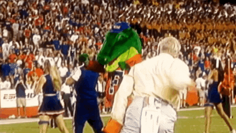 StandUpAndHoller giphyupload uf university of florida florida gators GIF